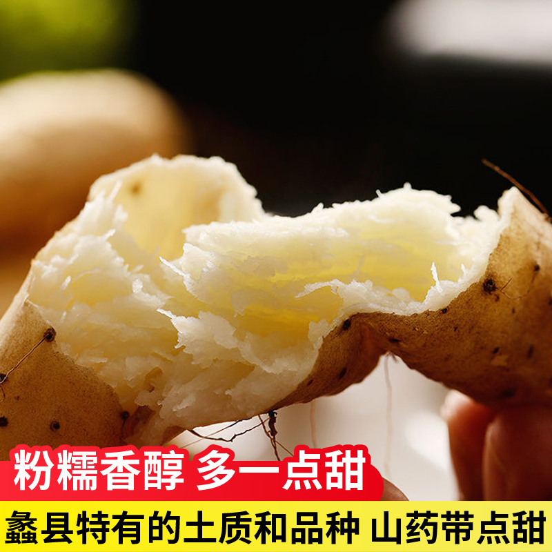 正宗西施铁棍山药淮山药食药同源新鲜蔬菜产地直发