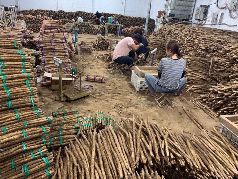 正宗西施铁棍山药淮山药食药同源新鲜蔬菜产地直发