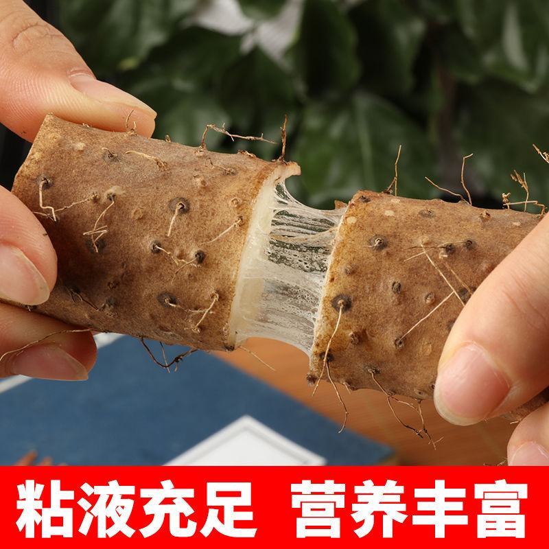 正宗西施铁棍山药淮山药食药同源新鲜蔬菜产地直发