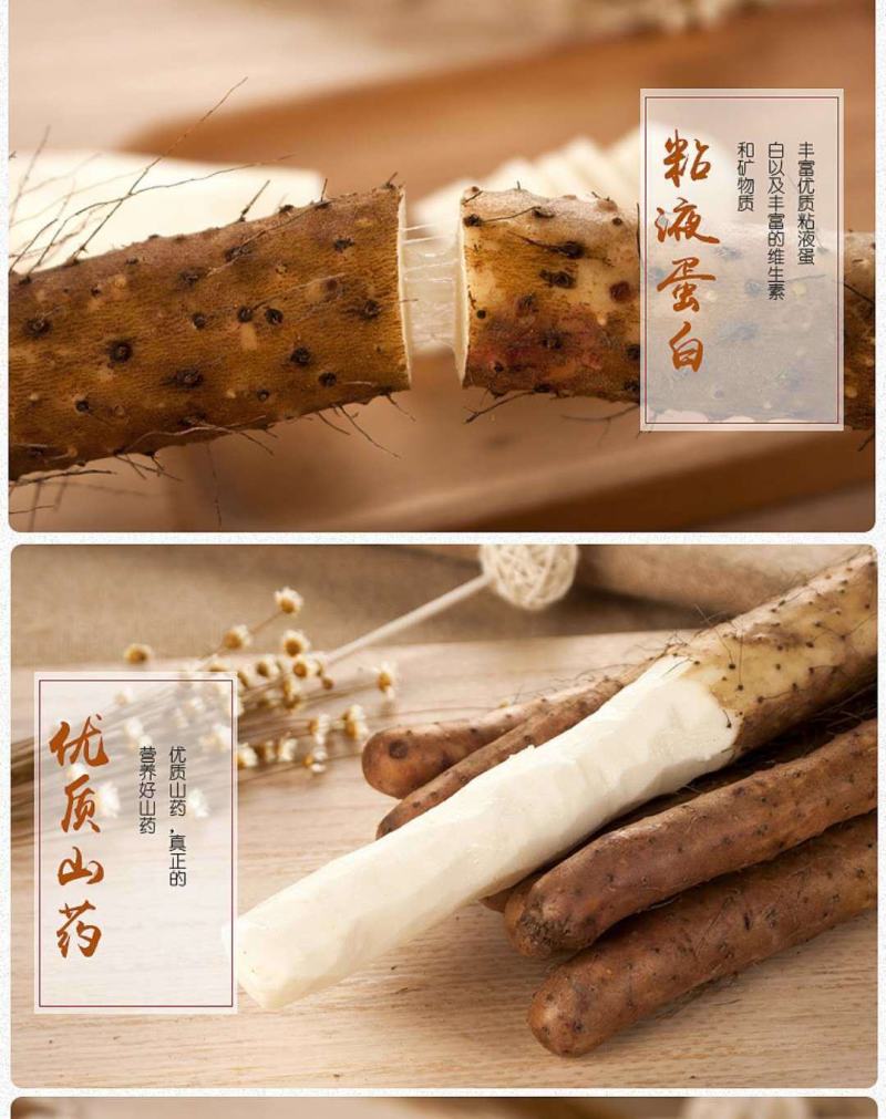 正宗西施铁棍山药淮山药食药同源新鲜蔬菜产地直发