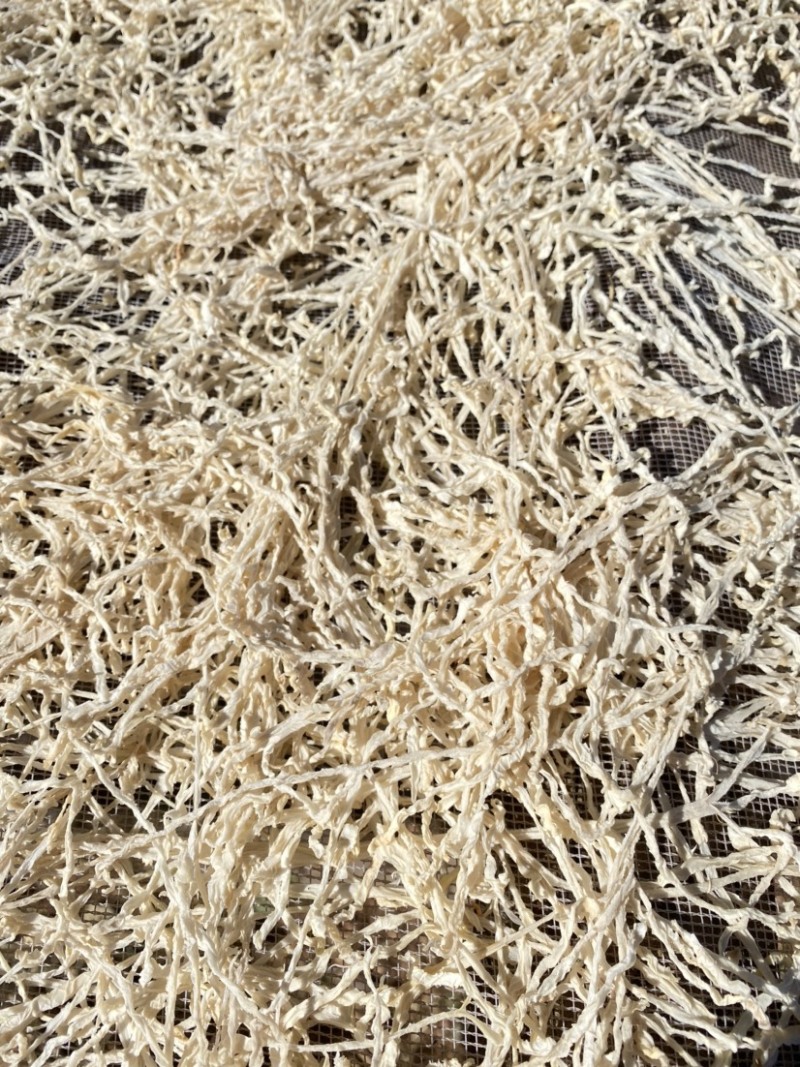 风干萝卜丝，2X4萝卜丝，去皮机切萝卜丝，2020新货
