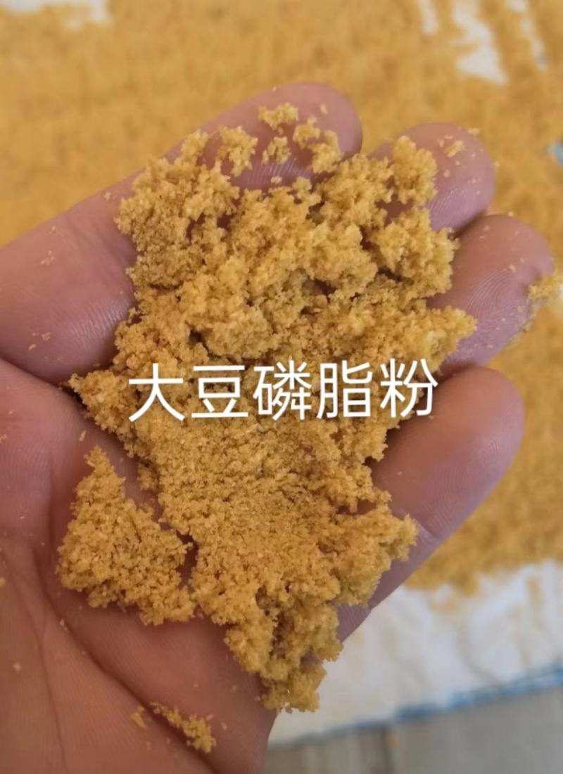 DDGS喷浆玉米皮喷浆稻壳粉，价格优惠，欢迎