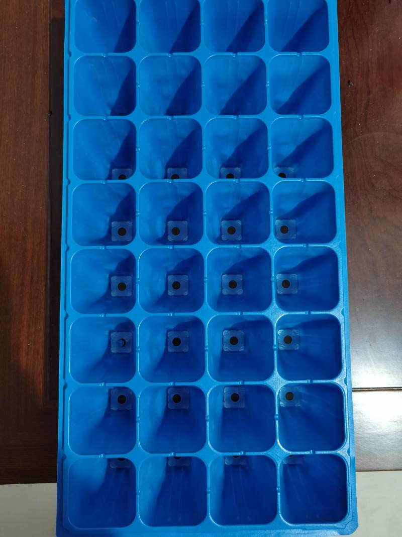 【精品】苗穴盘专业厂家规格齐全货量充足欢迎选购！