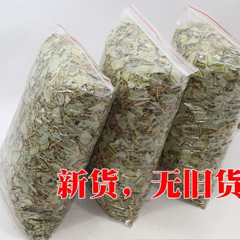 广西大叶金钱草新货广金钱草批发包邮