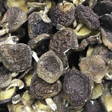 大金湖.尚书品.深山土特产.椴木香菇