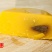 豌豆糕豌豆馅五谷杂粮河南传统美食儿时的味道