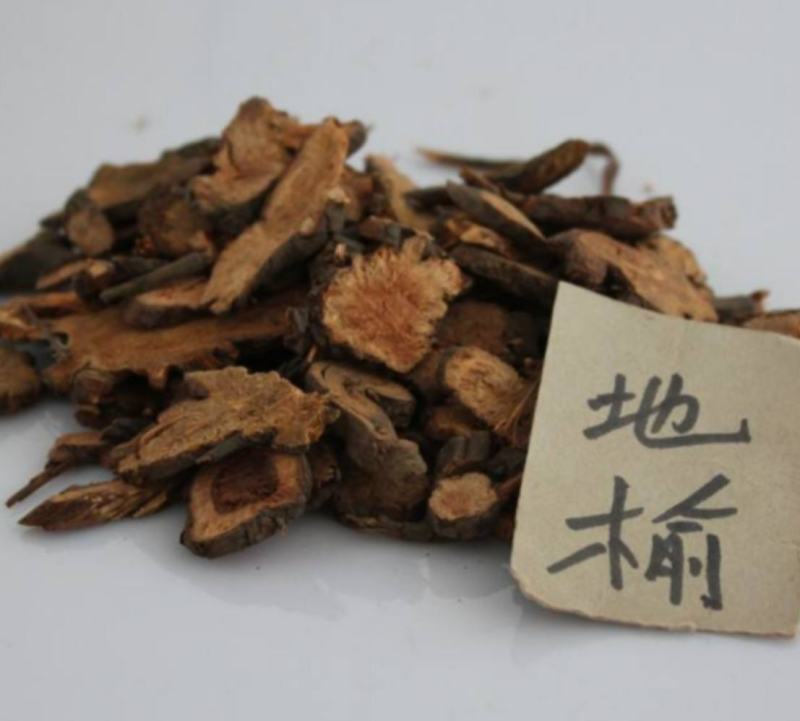 振兴药材批发供应地榆产地直销价地榆大货批发