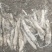 山胡萝卜，山地瓜，山海螺，种，鲜品，苗，自家种植，可实地