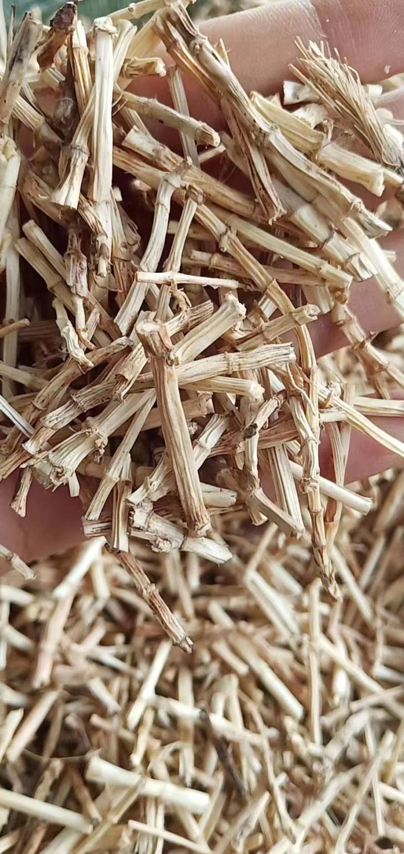 白茅根【包邮】三斤起发货可批量可零售量大从优