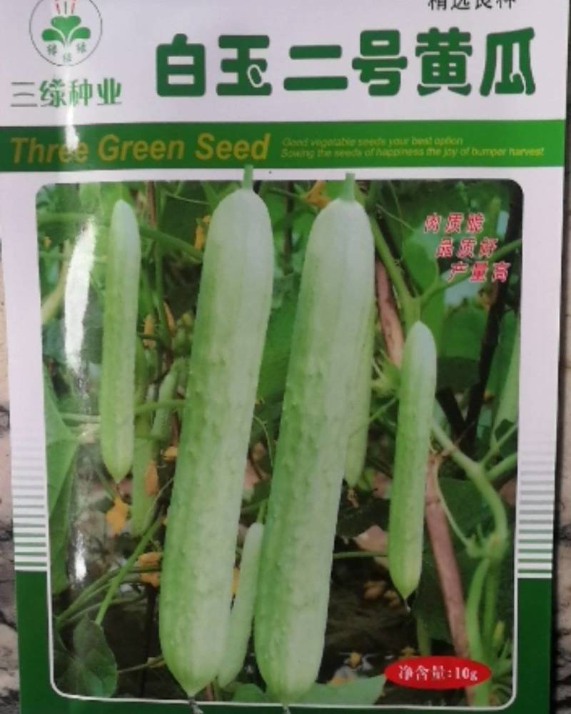白玉二号黄瓜早熟春季播种瓜条顺直瓜皮白绿色肉质脆甜品质好