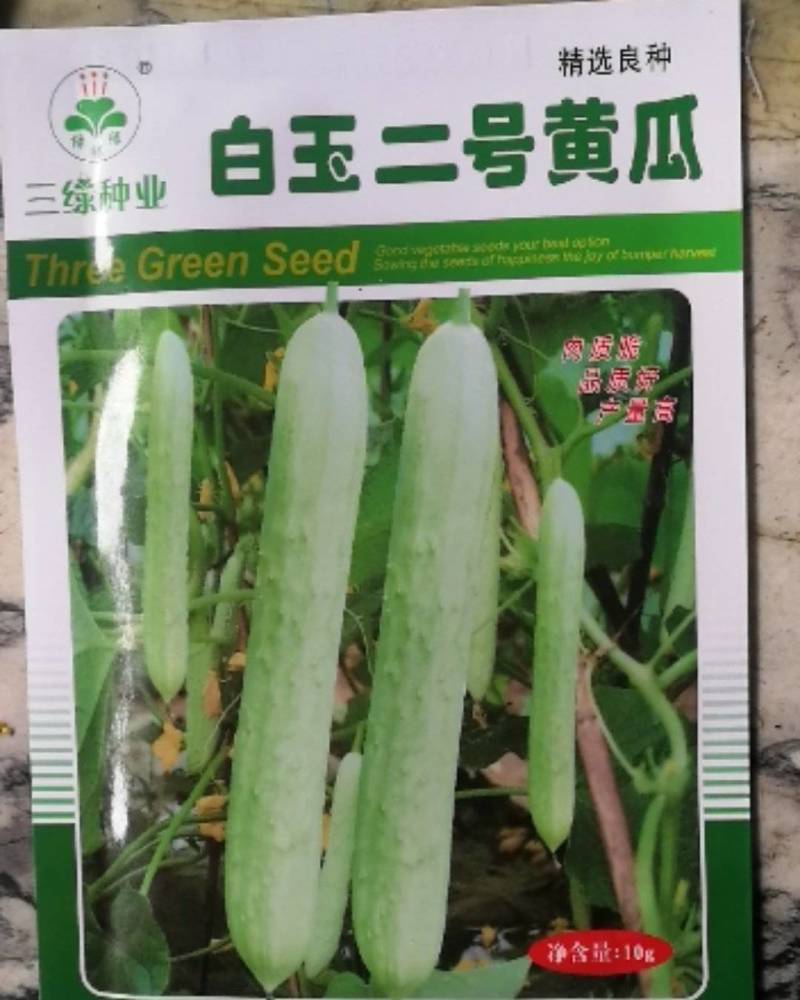 白玉二号黄瓜早熟春季播种瓜条顺直瓜皮白绿色肉质脆甜品质好