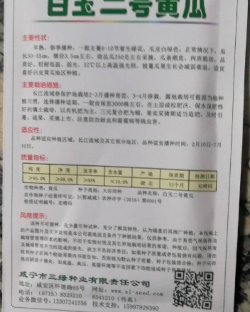白玉二号黄瓜早熟春季播种瓜条顺直瓜皮白绿色肉质脆甜品质好