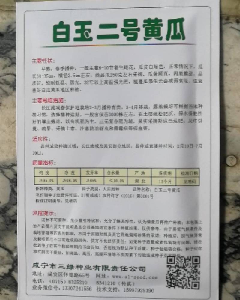 白玉二号黄瓜早熟春季播种瓜条顺直瓜皮白绿色肉质脆甜品质好