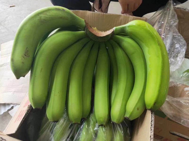 青焦处理不黑心不硬心