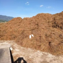 松毛腐殖土主要用来种植魔芋