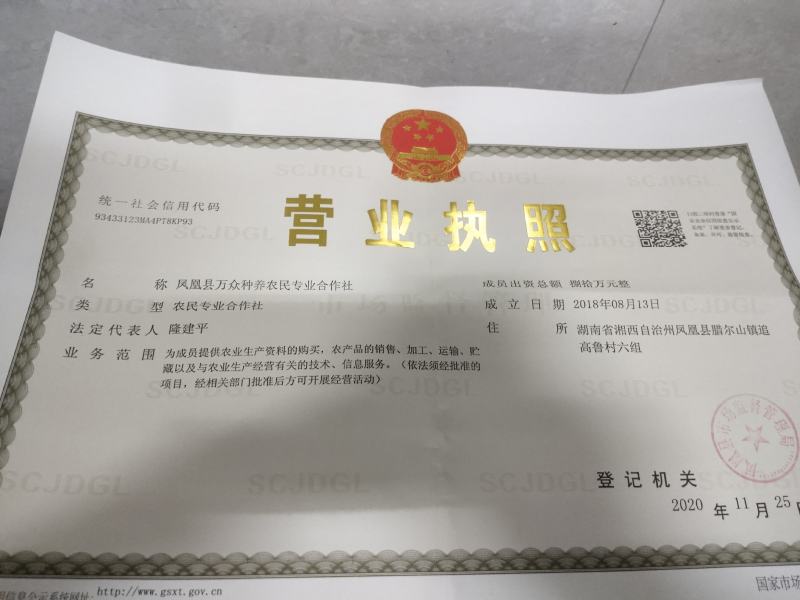 虫草，贵州大山里的，可以鉴定