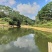 阳江大八四十亩塘转让