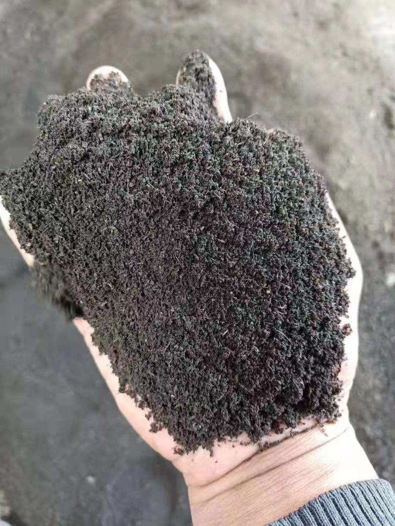 羊粪羊粪有机肥发酵腐熟适合各种作物量大优惠