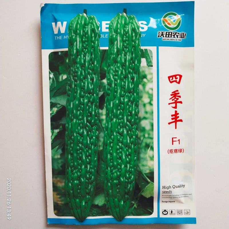 苦瓜种子苦瓜品种种子基地专用品种杂交品种