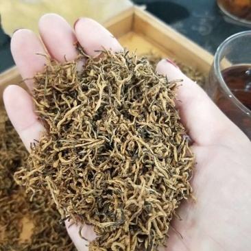 供应恩施富硒茶利川红一级红茶冷后浑红茶有机红茶健康茶红茶