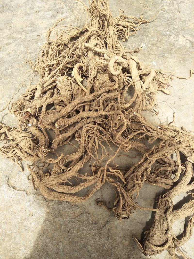 【当归】种植在云南大山里，独特气候地形，肉质饱满，纸箱包装
