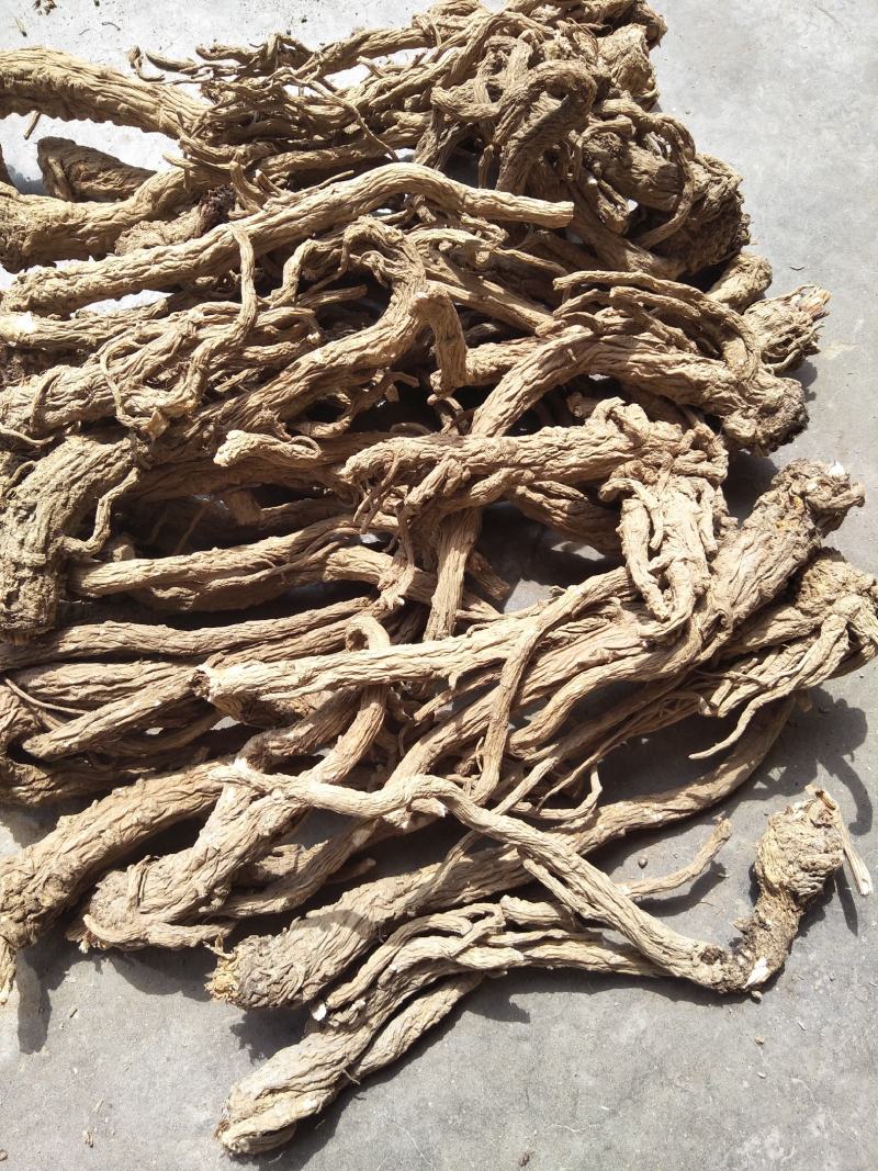 【当归】种植在云南大山里，独特气候地形，肉质饱满，纸箱包装