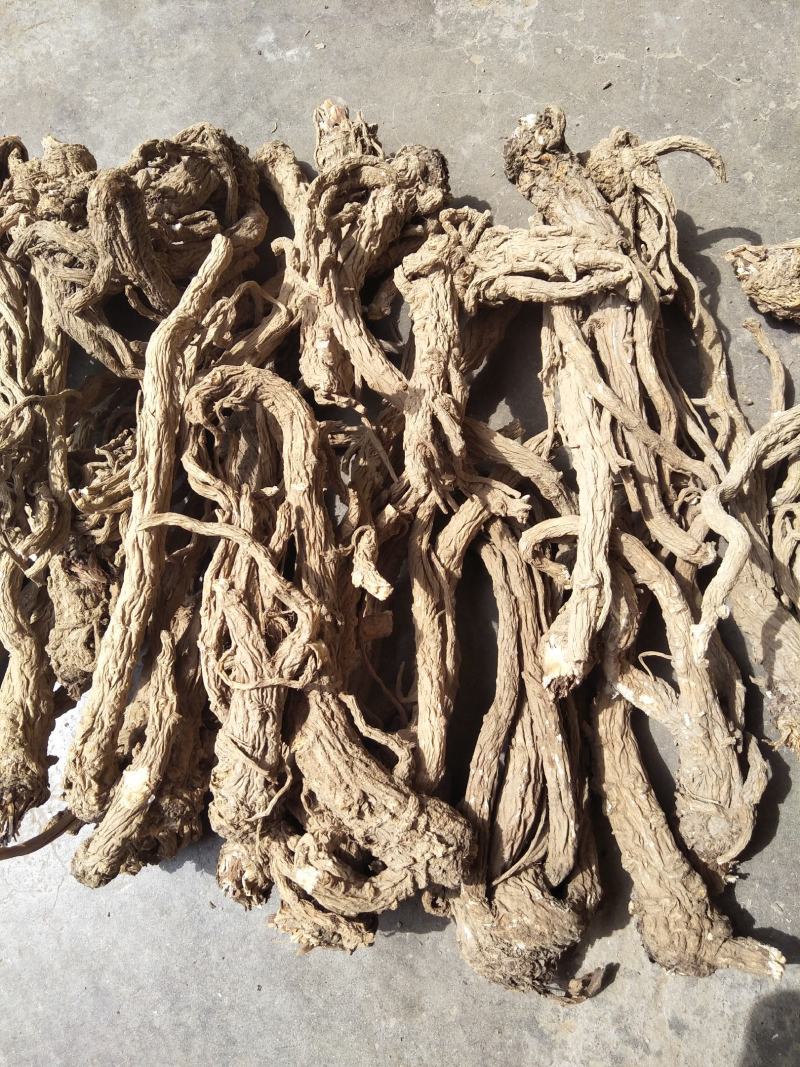 【当归】种植在云南大山里，独特气候地形，肉质饱满，纸箱包装