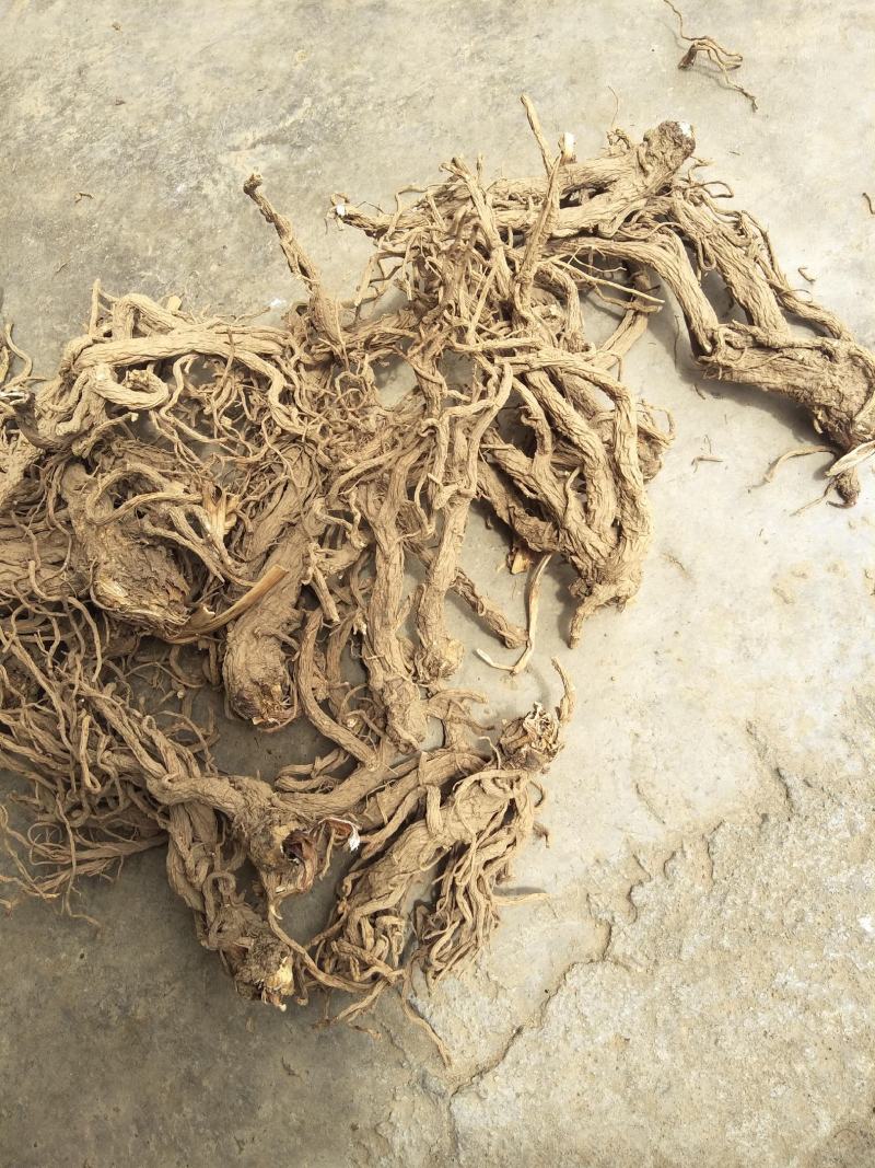 【当归】种植在云南大山里，独特气候地形，肉质饱满，纸箱包装