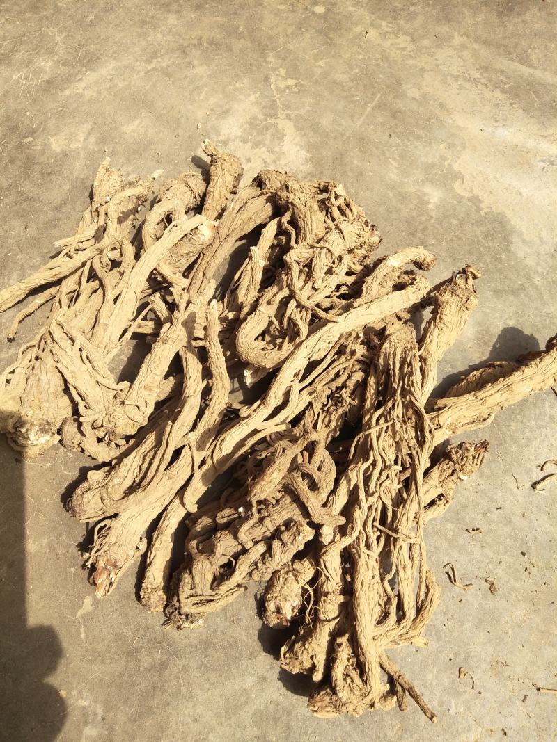 【当归】种植在云南大山里，独特气候地形，肉质饱满，纸箱包装