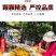 四团吊干杏特级树上杏干无添加天然吊死干原味杏包仁