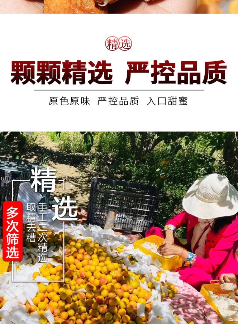 四团吊干杏特级树上杏干无添加天然吊死干原味杏包仁