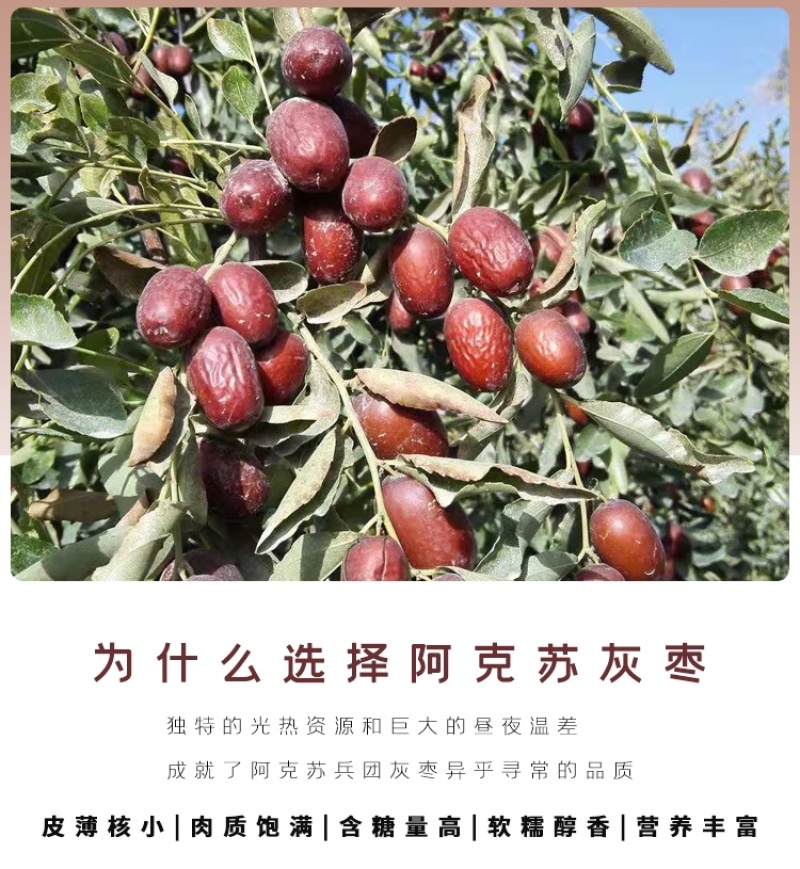 兵团灰枣特级大新疆枣整箱散装
