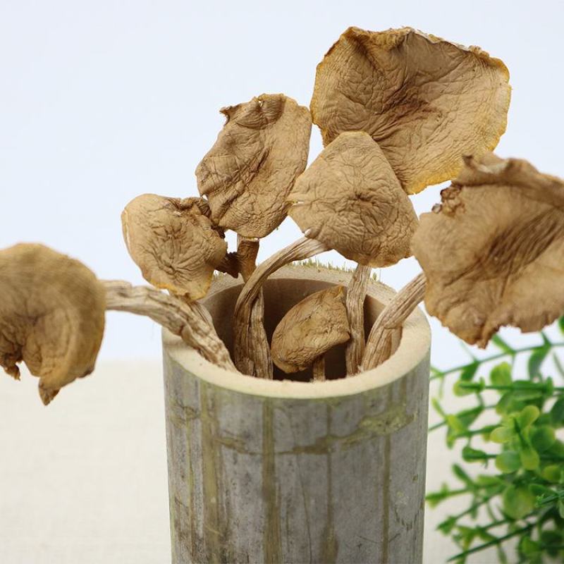 吉美味农家特产干货新鲜古田茶树菇无硫茶树菇