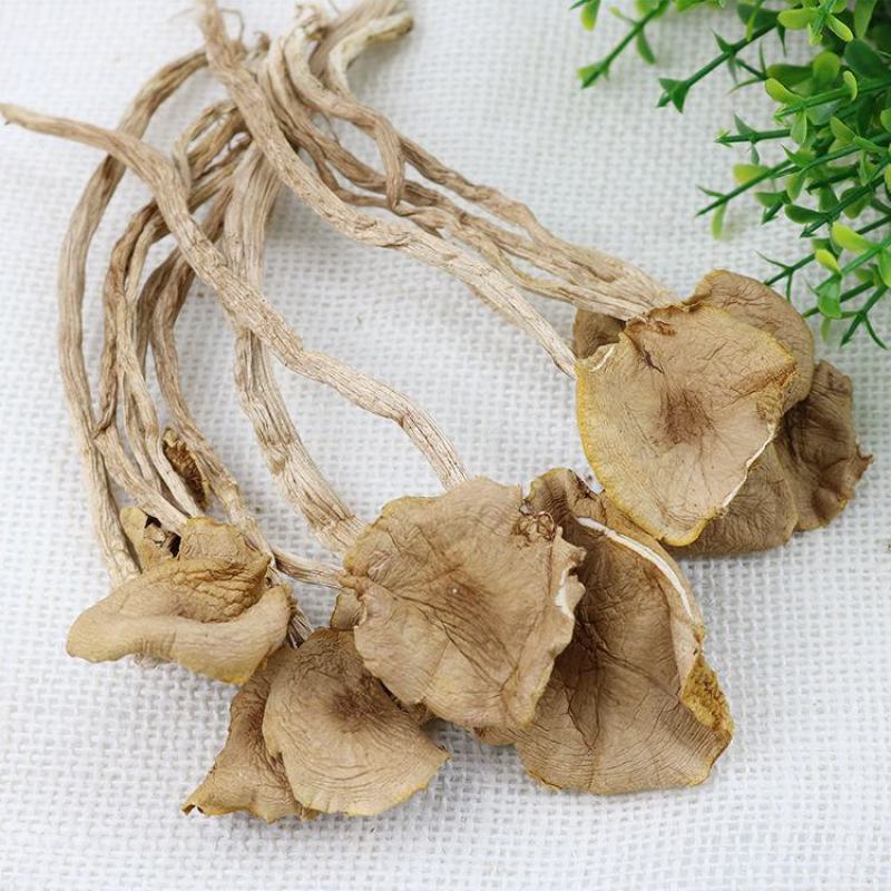 吉美味农家特产干货新鲜古田茶树菇无硫茶树菇