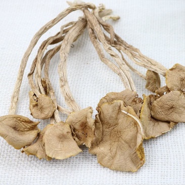 吉美味农家特产干货新鲜古田茶树菇无硫茶树菇