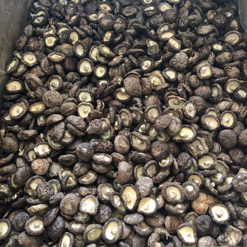 香菇干货特产干香菇新货野生蘑菇冬菇无根土特产山货