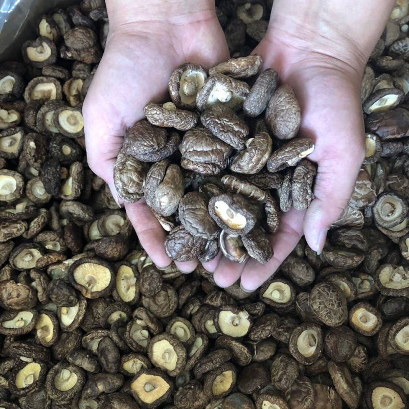 香菇干货特产干香菇新货野生蘑菇冬菇无根土特产山货