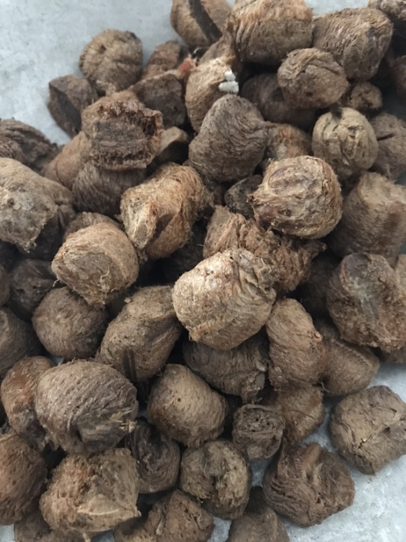 桑螵蛸熟桑螵蛸保庆药业桑螵蛸大棉