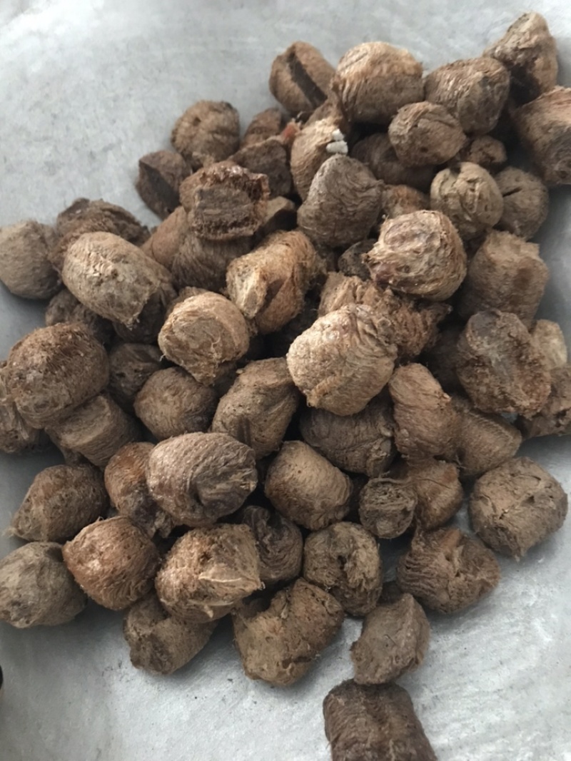 桑螵蛸熟桑螵蛸保庆药业桑螵蛸大棉