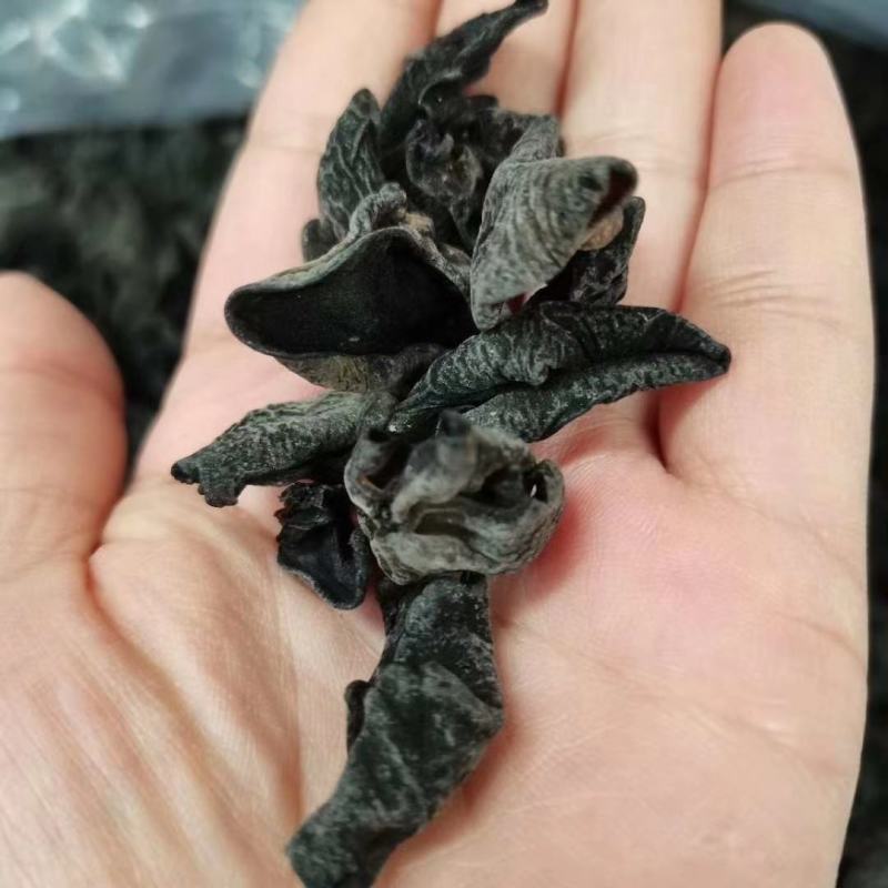 东北特级小木耳。无渣