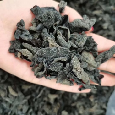 东北特级小木耳。无渣
