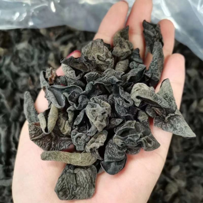 东北特级小木耳。无渣