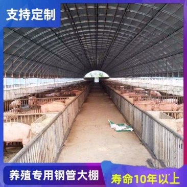 椭圆管大棚养殖钢架大棚上门安装全国发货