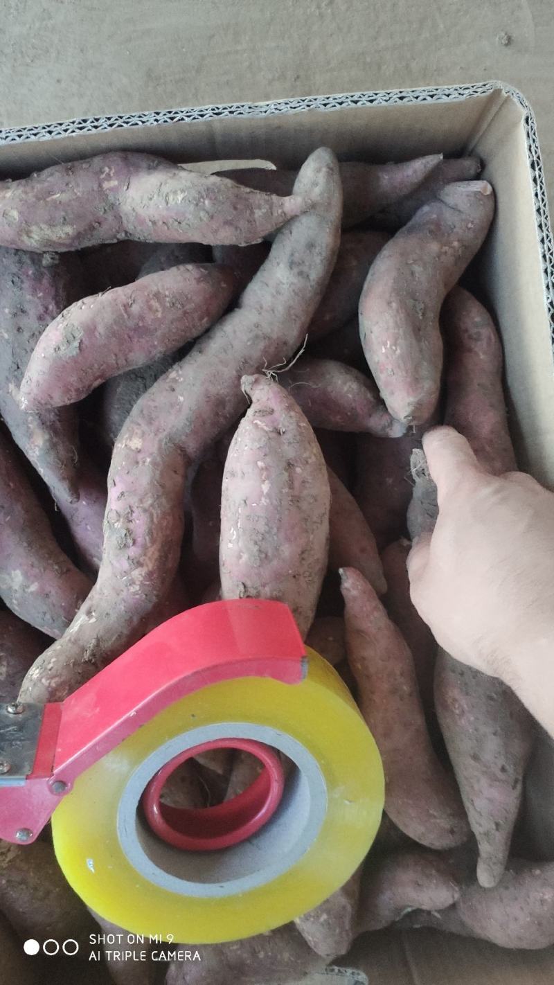 各种蔬菜供应，产地直价格，品种多，可配货