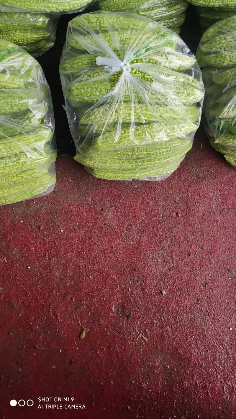 各种蔬菜供应，产地直价格，品种多，可配货