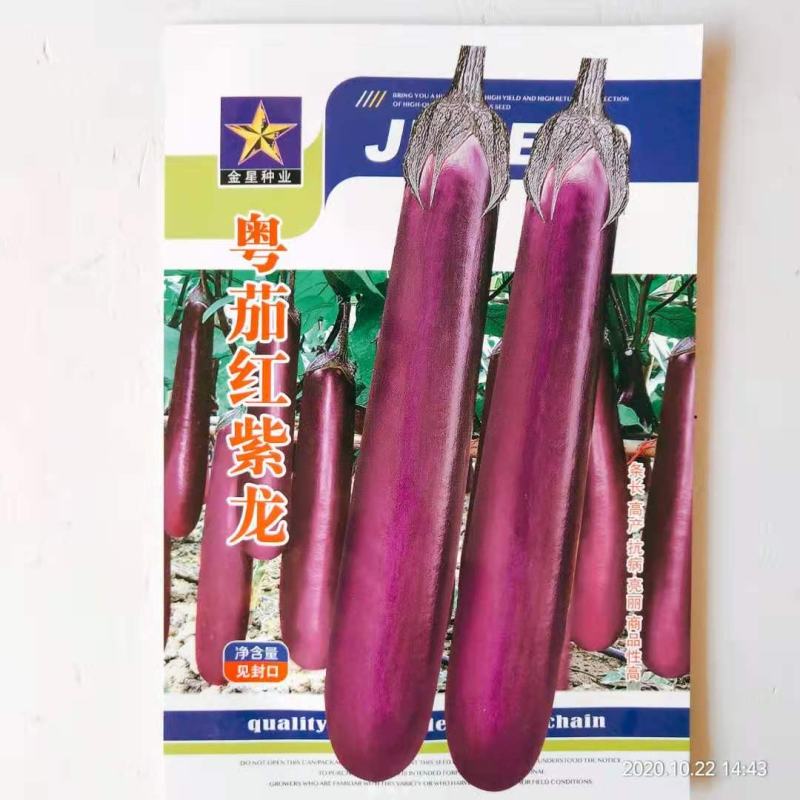 茄种子，早熟品种优胜圆茄，高产杭州红茄种子