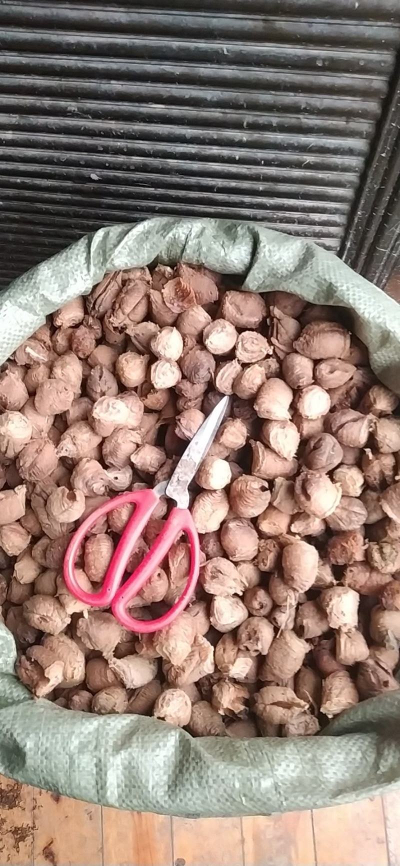 贵州铜仁生晒及蒸熟桑螵蛸干品去杂质产地直发一手货源