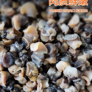 螺蛳，螺蛳肉批发，大量供应干净无沙，厂家直销
