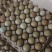 新野鸡蛋长期发货保证质量
