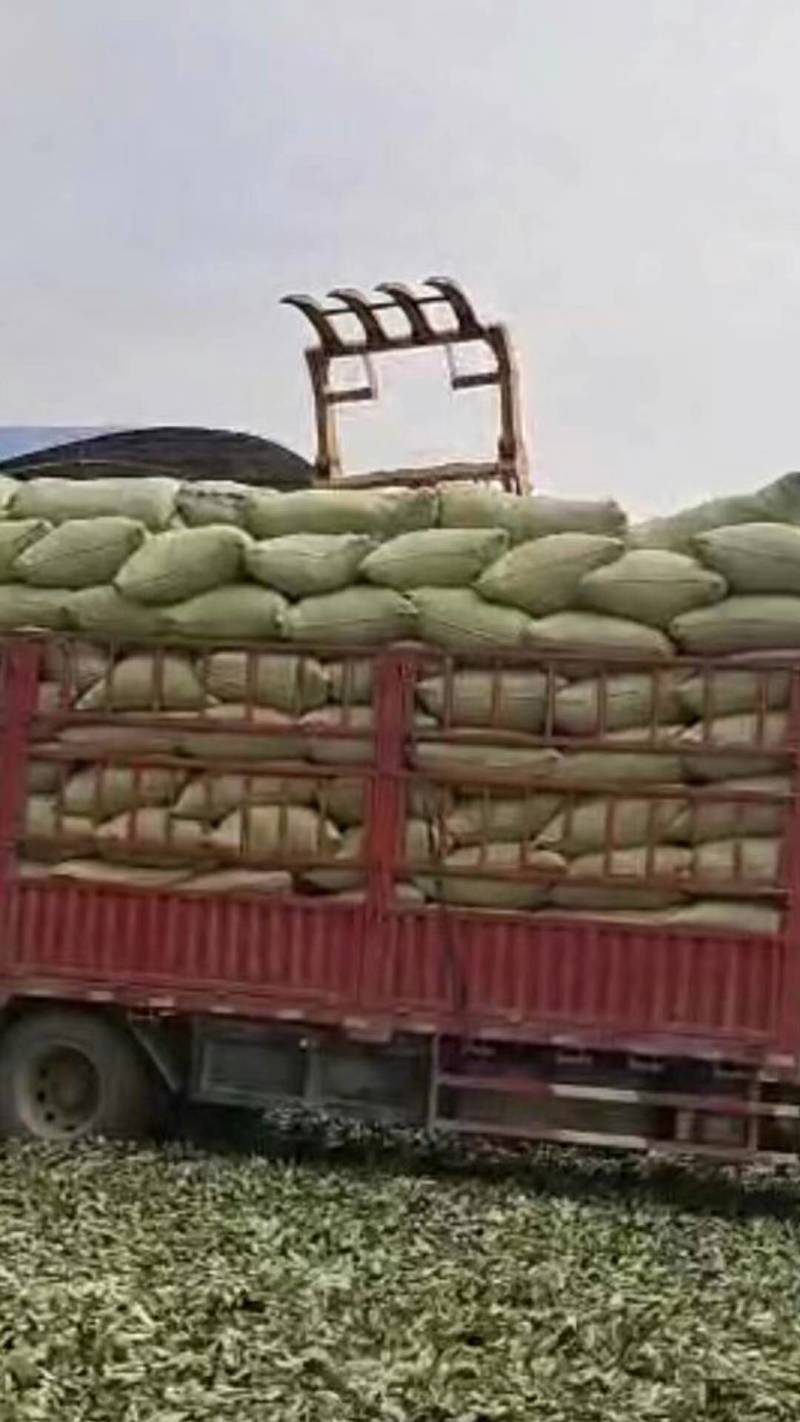 艾叶全棵切片头茬艾前期货欢迎釆购！！！一手货源